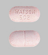 watson 502 APAP/hydrocodone